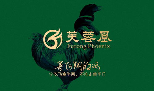 深圳设计力量 从Logo到企业形象的全面解析